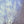 Load image into Gallery viewer, Goto Atsuko - 'Wandering Despair is Dreaming' Edition