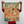 Load image into Gallery viewer, Poorboy - 'Skate Vibes' Edition