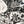 Load image into Gallery viewer, Xavier Casalta - 'Floral Composition' Edition