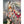 Load image into Gallery viewer, Gitanas Postcards Set by Miss Van