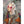 Load image into Gallery viewer, Gitanas Postcards Set by Miss Van