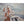 Laden Sie das Bild in den Galerie-Viewer, Pale Moonlight Postcard Set by Miss Van