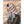 Laden Sie das Bild in den Galerie-Viewer, Pale Moonlight Postcard Set by Miss Van