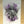 Load image into Gallery viewer, C215 - 'C-3PO' EDITION (black and purple) AP
