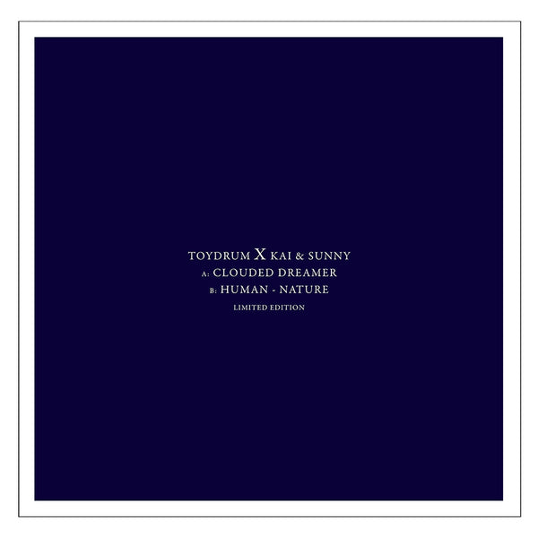 Toydrum - 'Clouded Dreamer' Vinyl Record