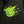 Laden Sie das Bild in den Galerie-Viewer, D*Face X Rebels Alliance Black Patches Jacket
