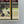 Load image into Gallery viewer, Mandy Payne - Golden Lane
