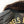 Load image into Gallery viewer, Rebels Alliance Custom Hand Painted Vintage Pilot Leather With Fur Jacket
