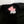 Load image into Gallery viewer, Mint&amp;Serf -  BLAA x MIRF Text T-shirt
