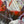 Load image into Gallery viewer, Mint&amp;Serf - MonoType 5
