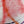 Load image into Gallery viewer, Mint&amp;Serf - MonoType 6
