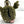 Load image into Gallery viewer, D*Face x Hakkei Sprout D*Dog - Hand Made Soft Sculpture
