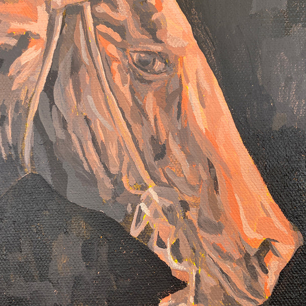 Keya Tama - "The Familiar Stranger"