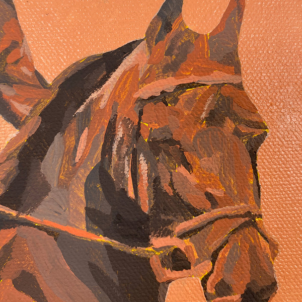 Keya Tama - "Trail of the Pattern Collector"