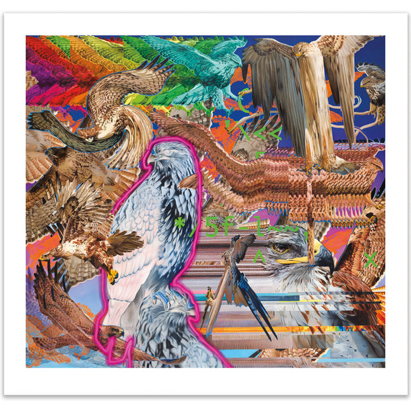 Vincent Langaard - 'Hawxs.EXE' Edition