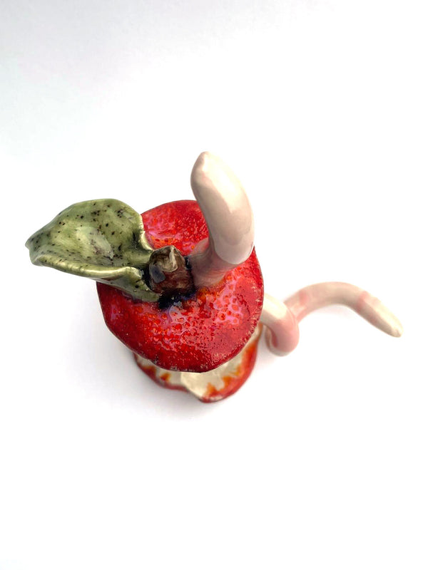 Daisy Tortuga - Ceramic Apple Core with Worm