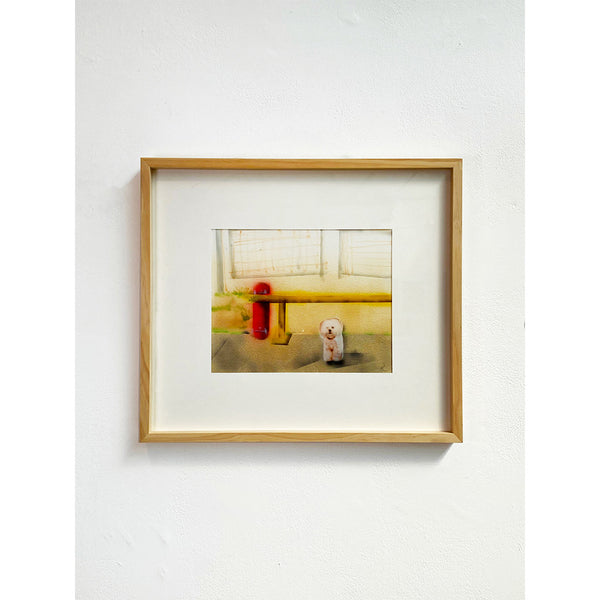 P.Kim - Bichon Frise