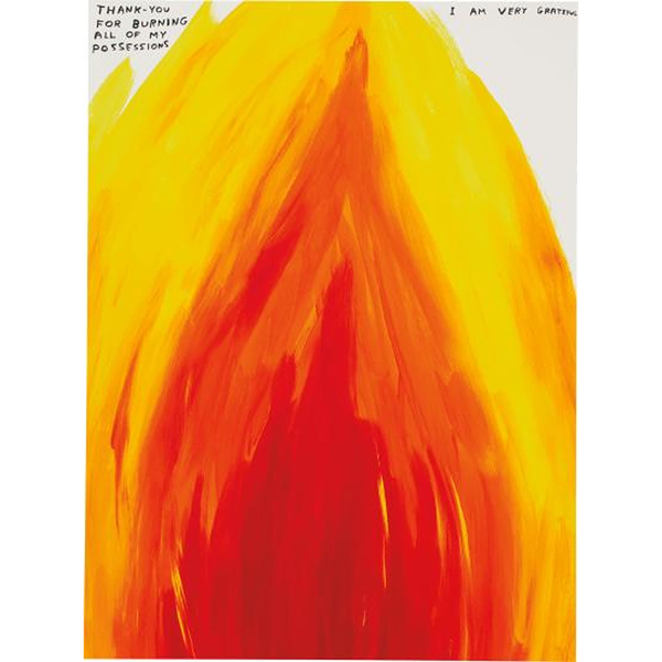 David Shrigley - 'Thank You for Burning' Edition