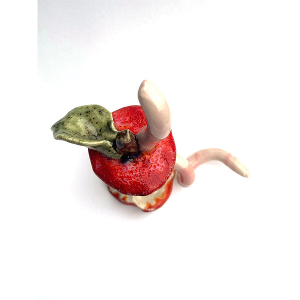 Daisy Tortuga - Ceramic Apple Core with Worm