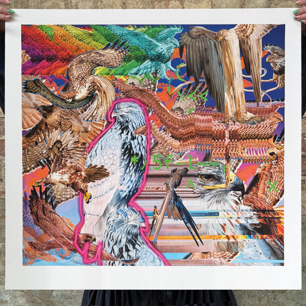 Vincent Langaard - 'Hawxs.EXE' Edition