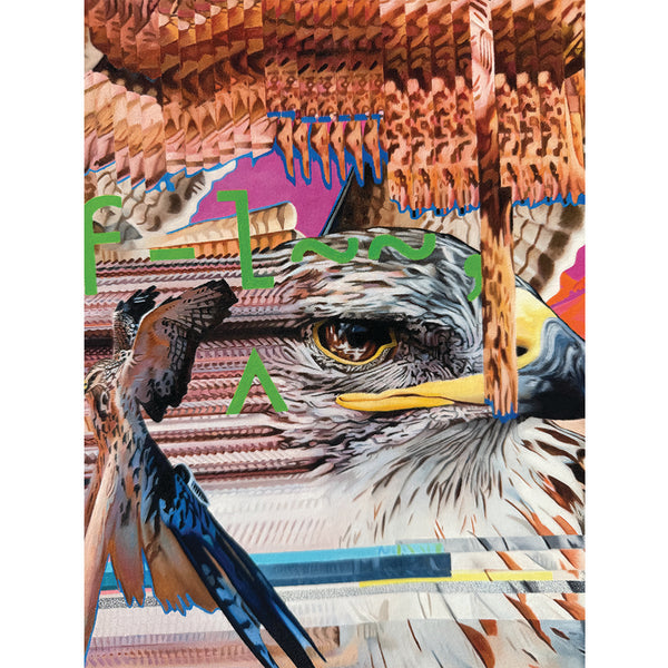 Vincent Langaard - 'Hawxs.EXE' Edition