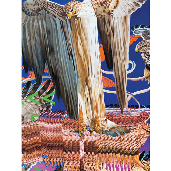 Vincent Langaard - 'Hawxs.EXE' Edition