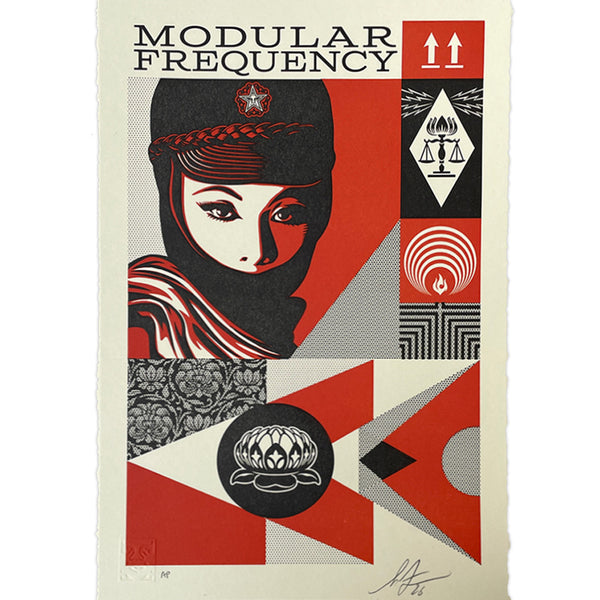 Shepard Fairey - Modular Frequency AP